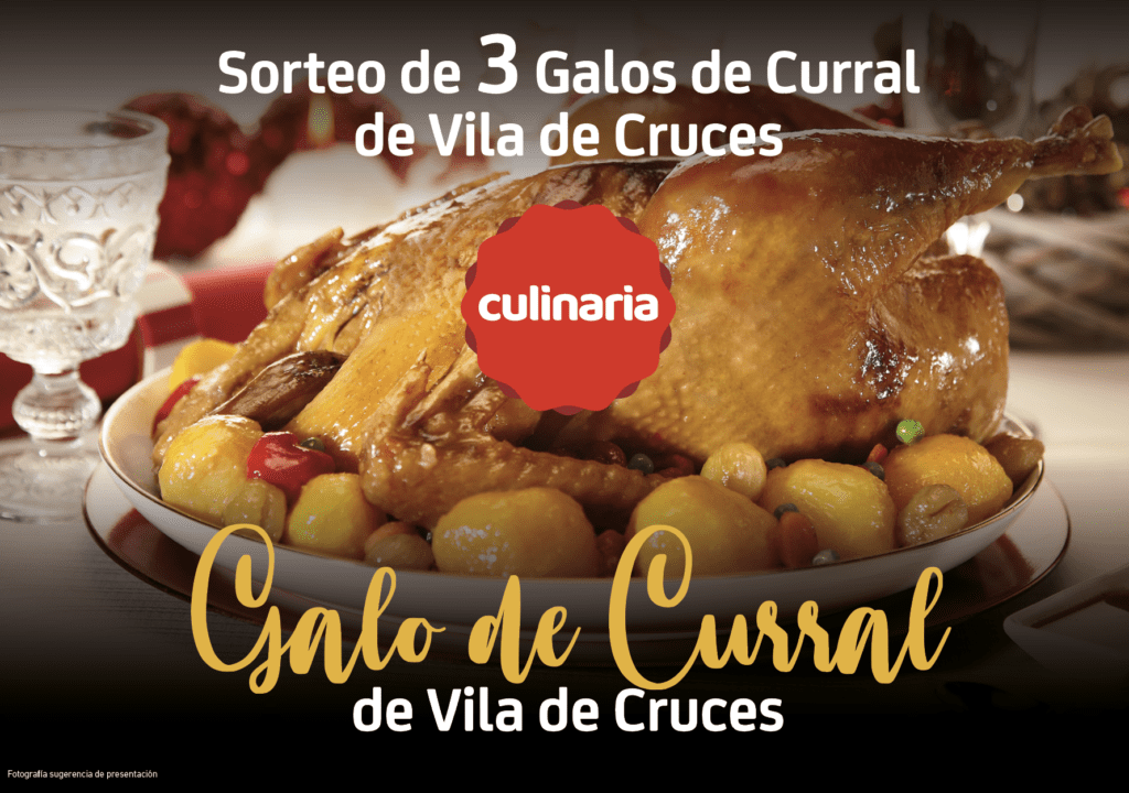 Degustacións diarias e un sorteo de tres Galos de Curral, oferta de Culinaria na Semana Verde de Galicia #3